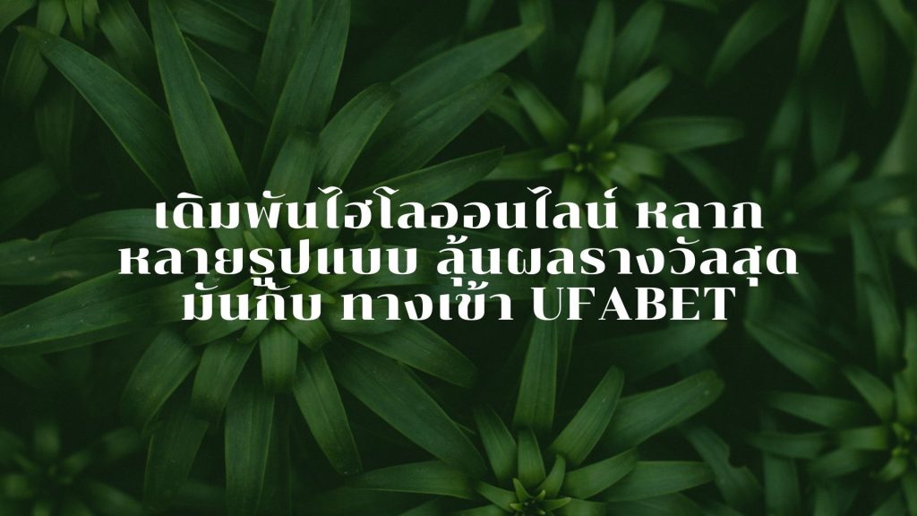 ทางเข้า UFABET